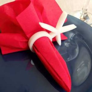 Deniz Yıldızı Beyaz Akrilik Peçete Halkası